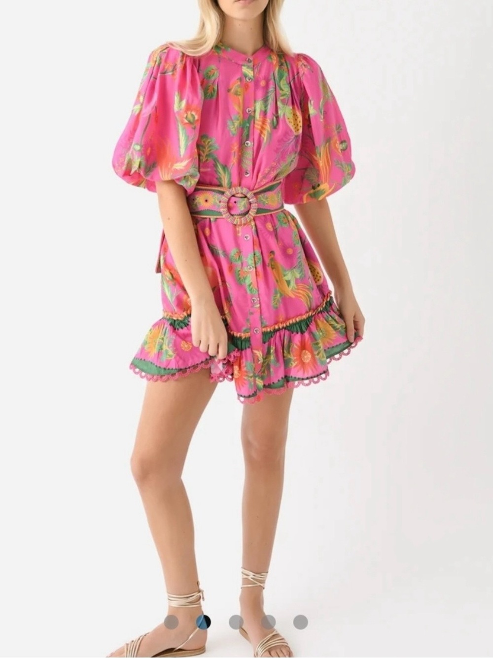 FARM Rio Delicate Fruit Garden Pink Floral Mini Dress - Picture 3 of 15